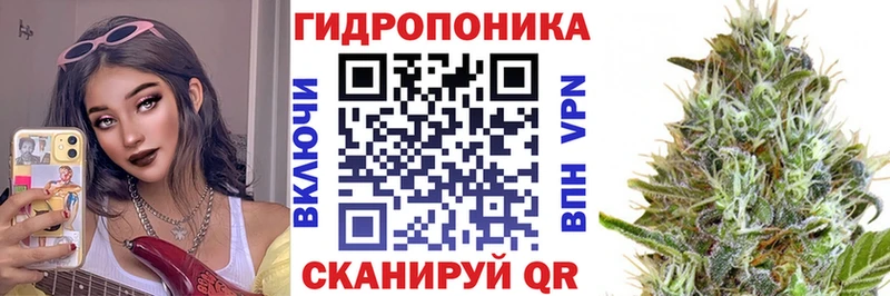 Наркотические вещества Сунжа Альфа ПВП  Псилоцибиновые грибы  Кокаин  Меф мяу мяу  NBOMe  АМФЕТАМИН 