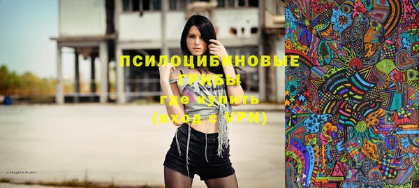 ГАЛЛЮЦИНОГЕННЫЕ ГРИБЫ Арсеньев