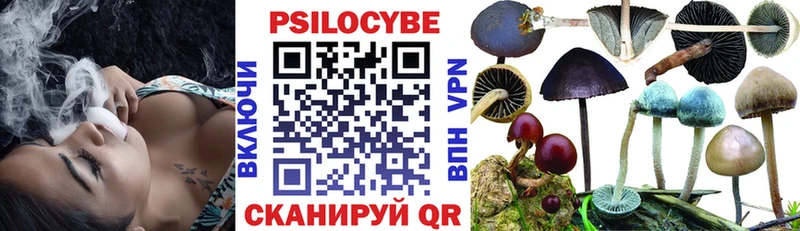 Псилоцибиновые грибы MAGIC MUSHROOMS  хочу наркоту  МЕГА ссылка  Сунжа 
